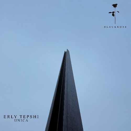 Erly Tepshi - Never Coming Back (Original Mix)