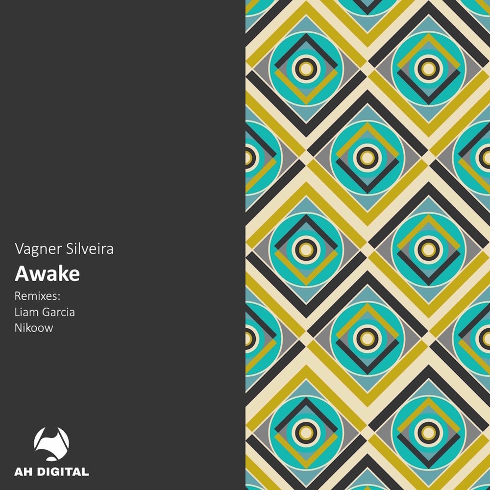 Vagner Silveira, Nikoow - Adagio (Nikoow Remix)