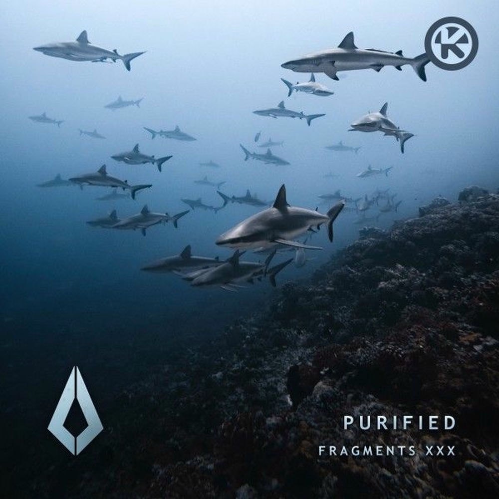 Aplexo - Enough (Extended Mix)