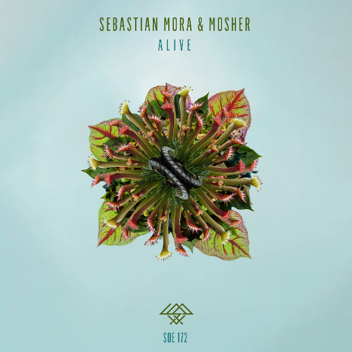 Sebastian Mora & Mosher - Matters (Original Mix)