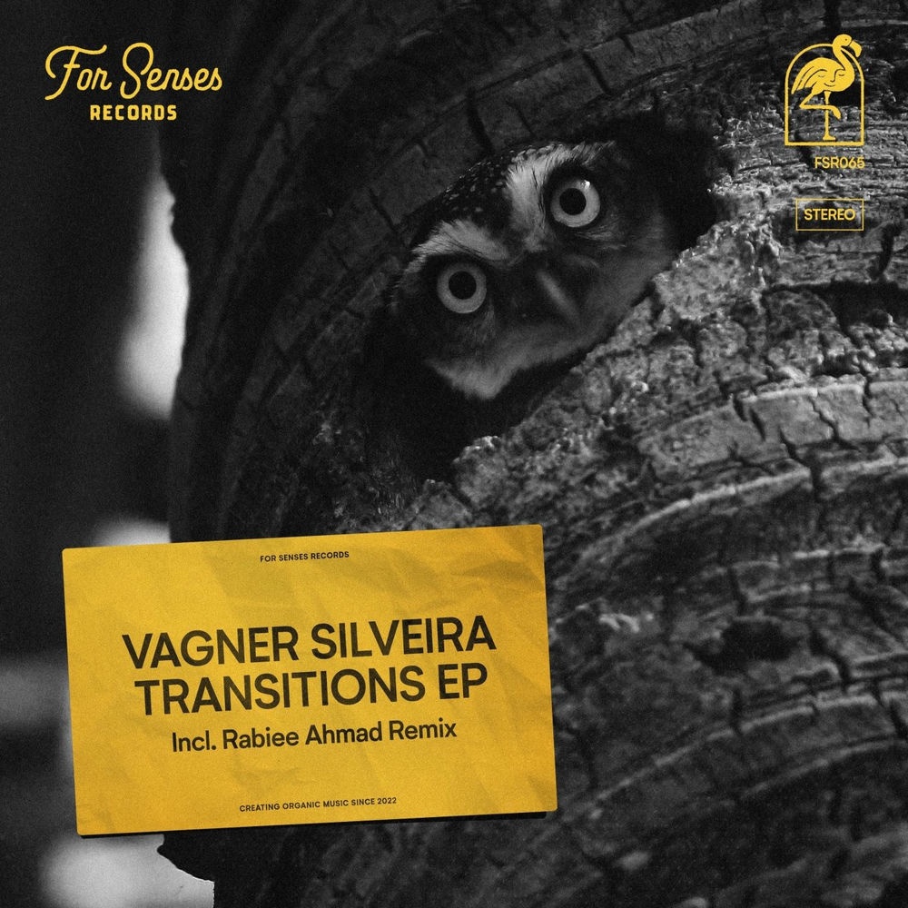 Vagner Silveira - The Secret Garden (Original Mix)