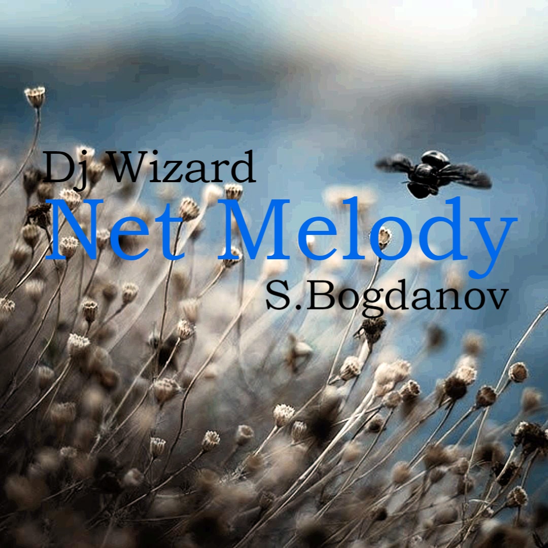 Dj Wizard, S.Bogdanov - Net Melody