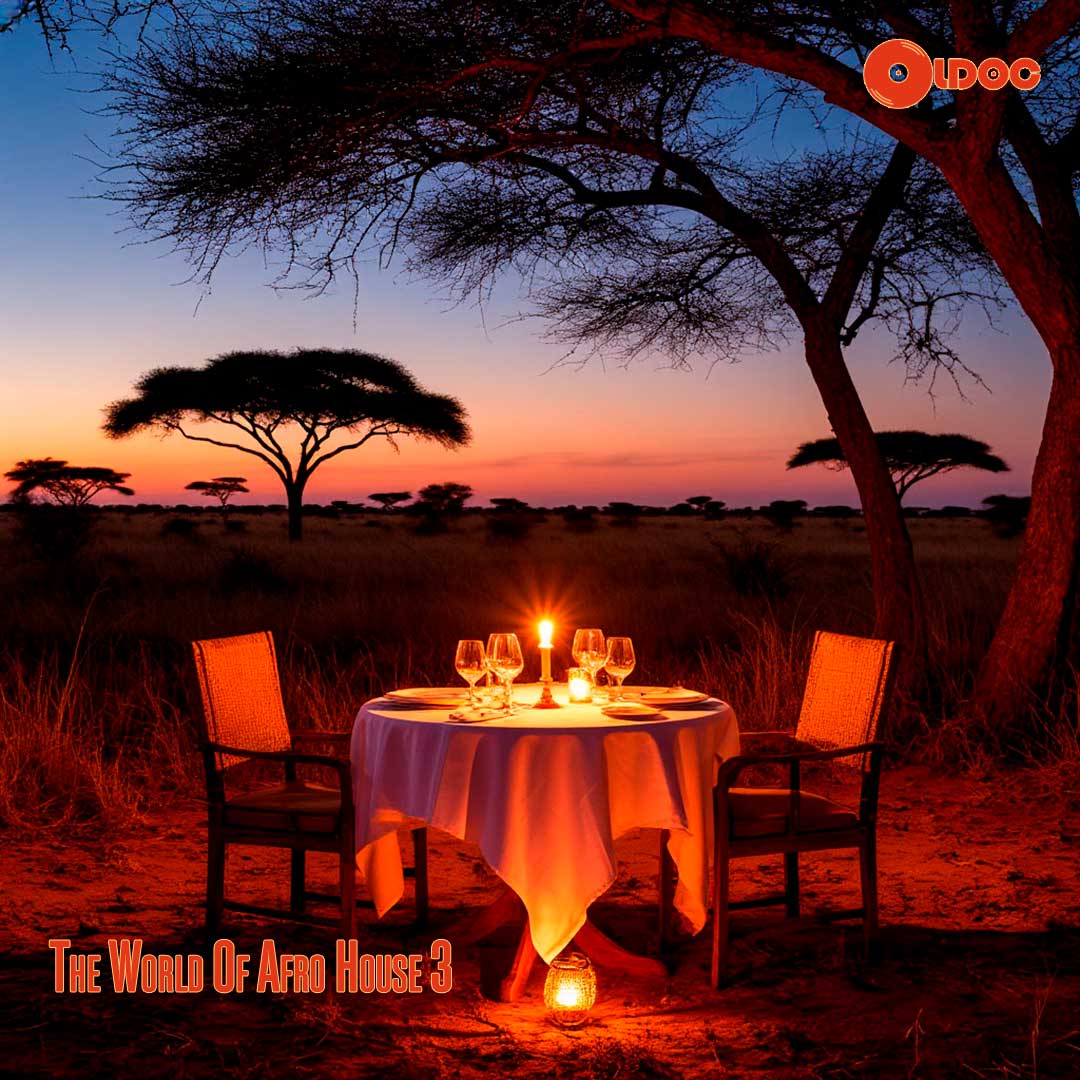 Oldoc - The World Of Afro House 3
