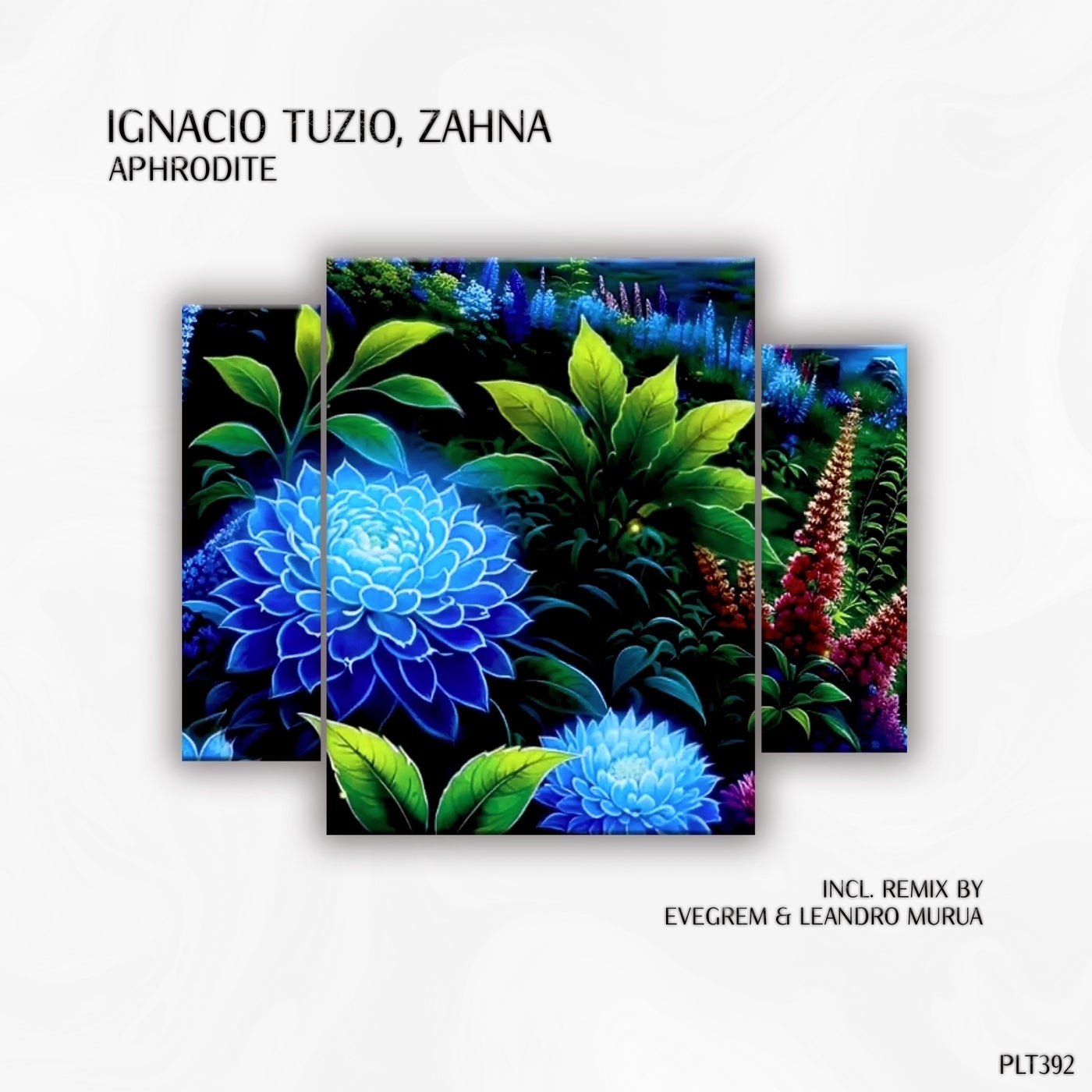 ZAHNA & Ignacio Tuzio - Aphrodite (Evegrem & Leandro Murua Extended)