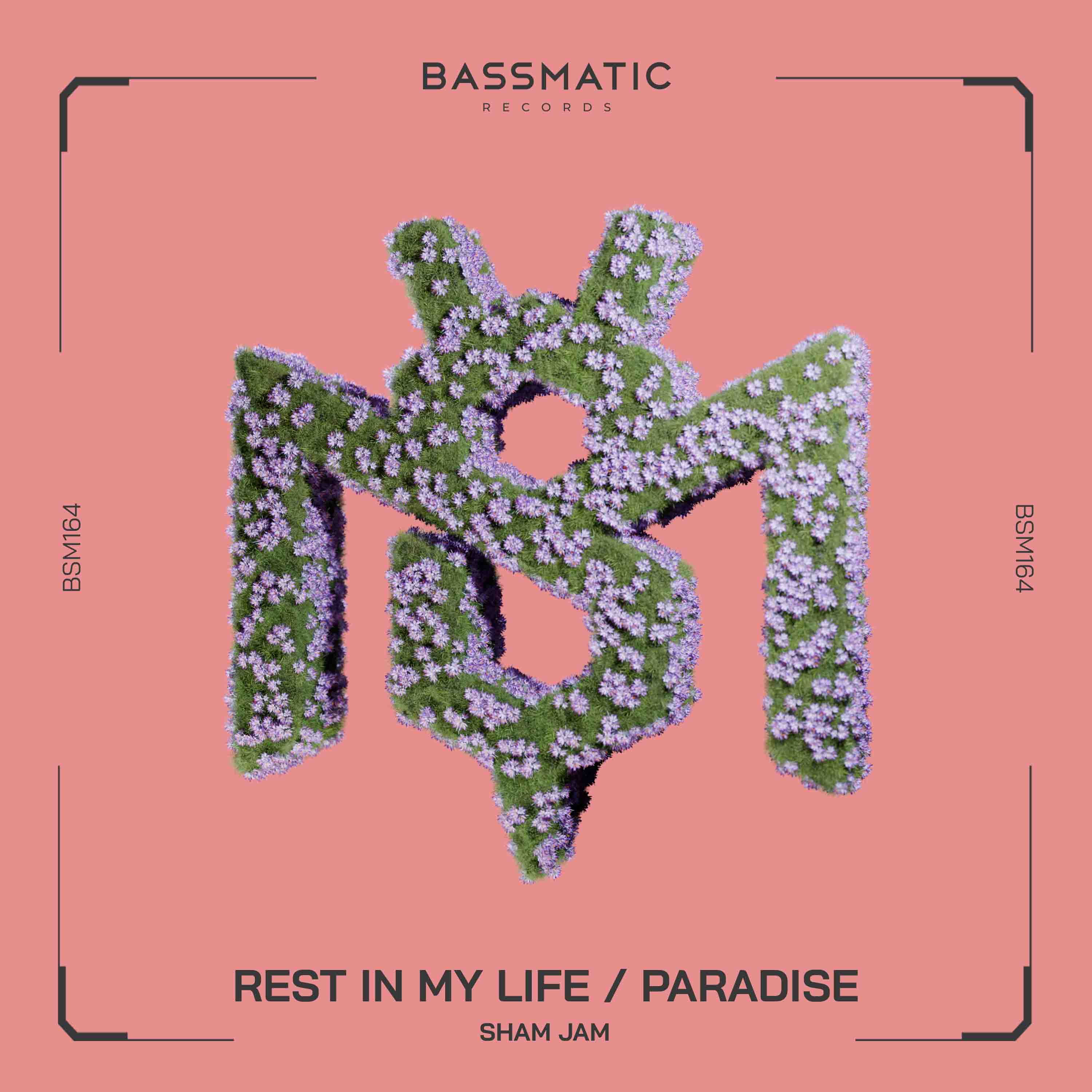Sham Jam - Paradise (Original Mix)