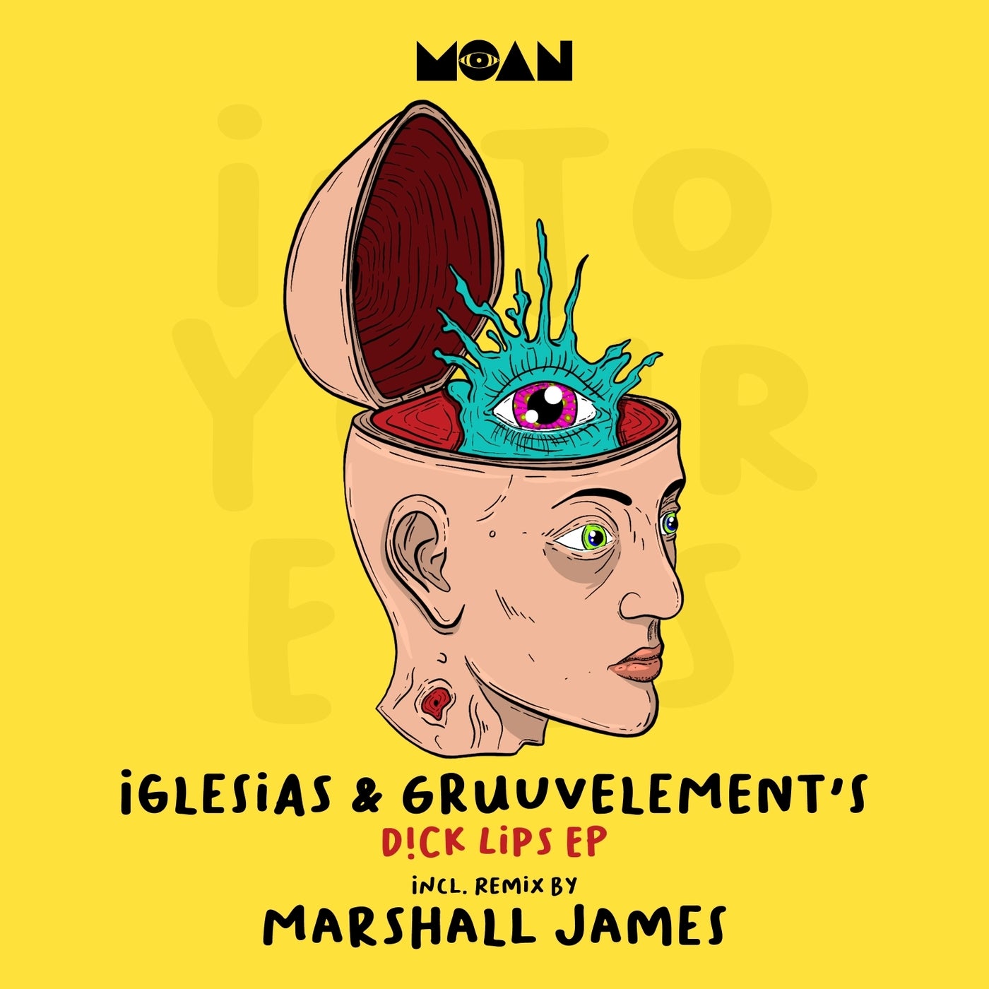 GruuvElement's, Iglesias - D!ck Lips (Marshall James Remix)