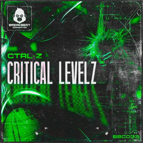 Ctrl-Z - Critical Levelz (Original Mix)