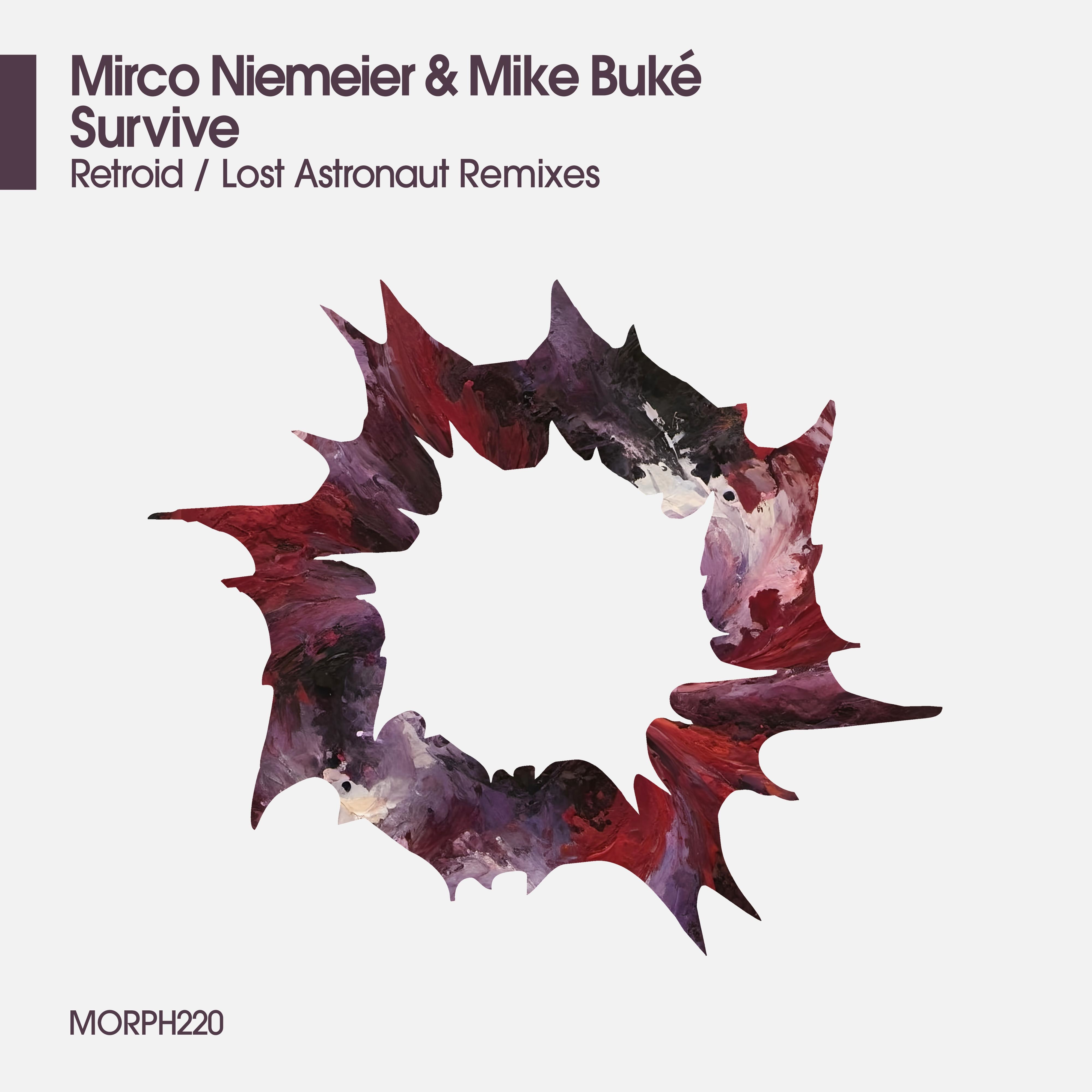 Mike Buké, Mirco Niemeier - Survive (Original Mix)