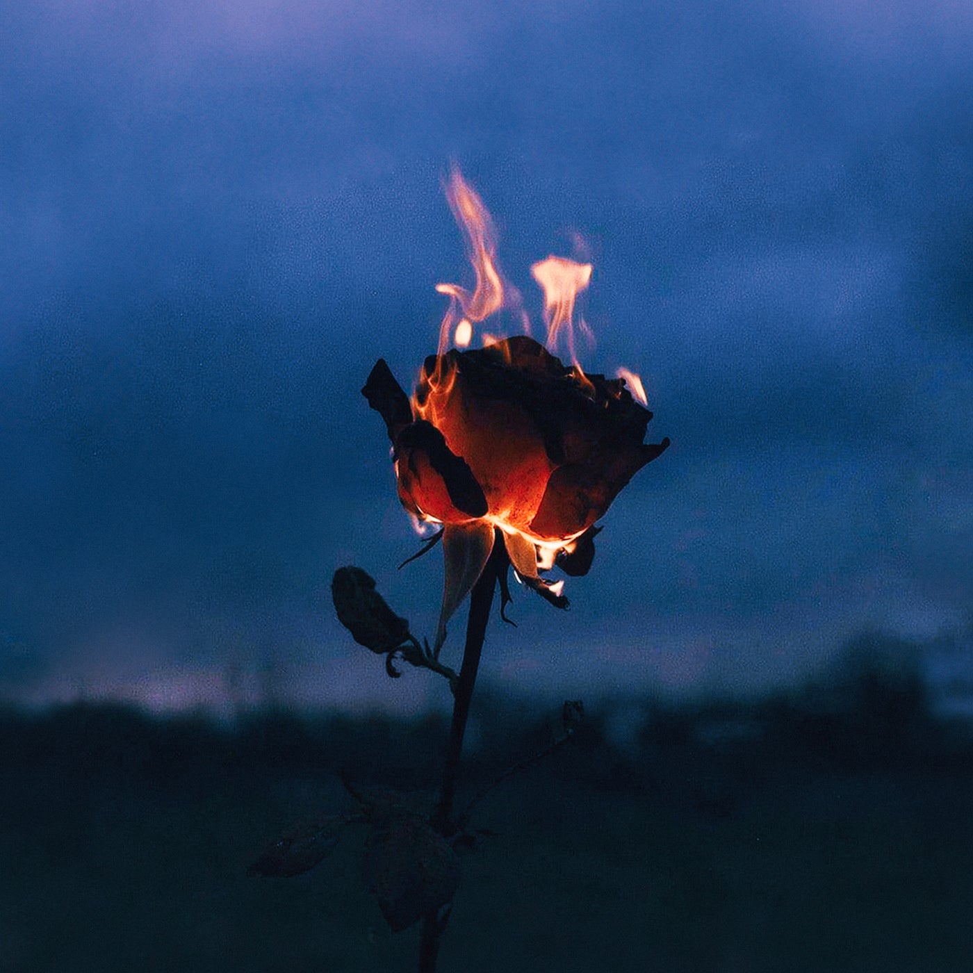 8Kays, GHEIST - Flowers & Guns (Original Mix)