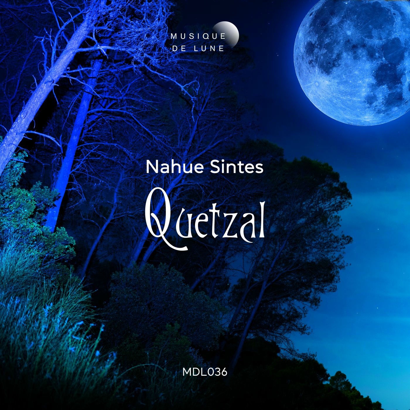 Nahue Sintes - Quetzal (Original Mix)