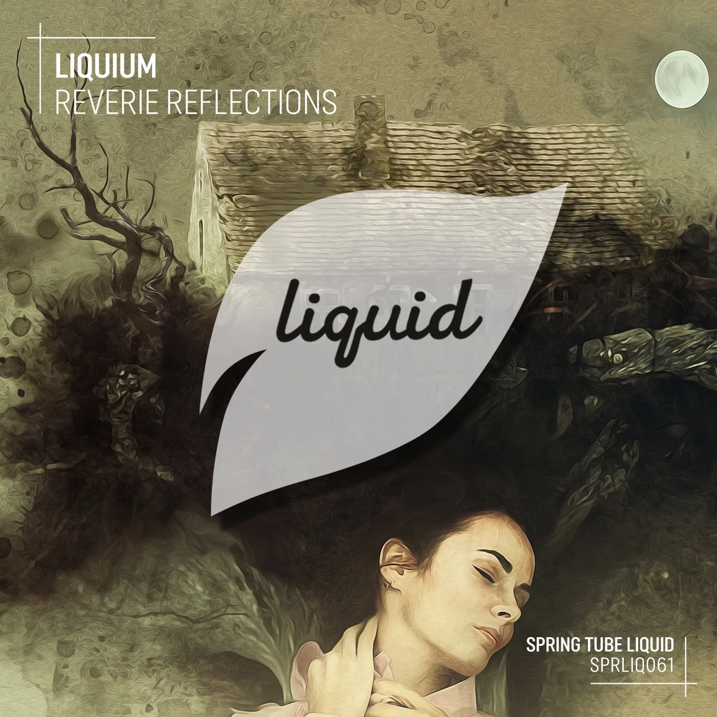 Liquium - Back to Sing (Original Mix)