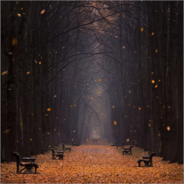 Alexx NT & Va O.N.E. - Mysterious Autumn