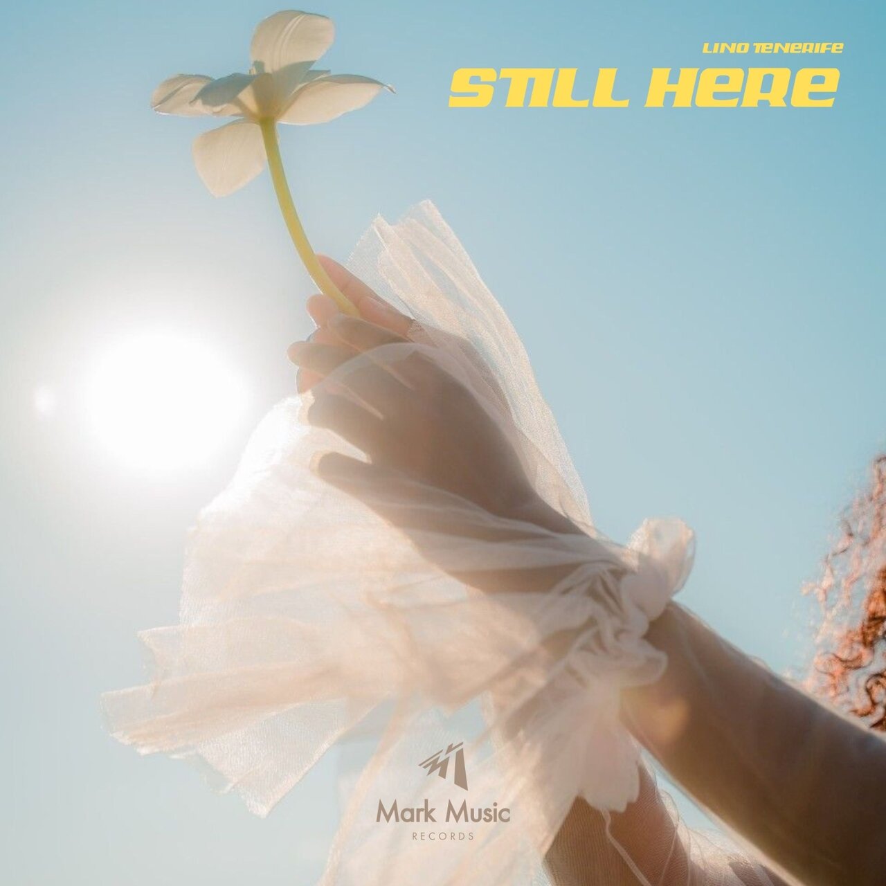 Lino Tenerife - Still Here (Original Mix)