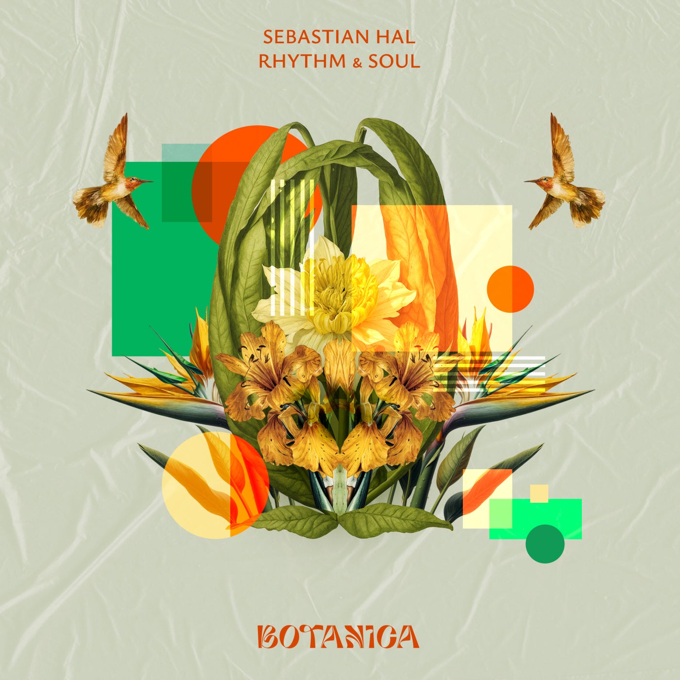 Sebastian Hal - Rhythm and Soul (Original Mix)