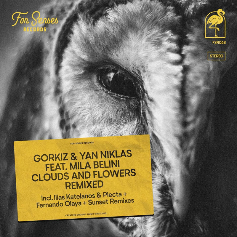 Gorkiz - Cloud & Flowers (Ilias Katelanos & Plecta Remix)