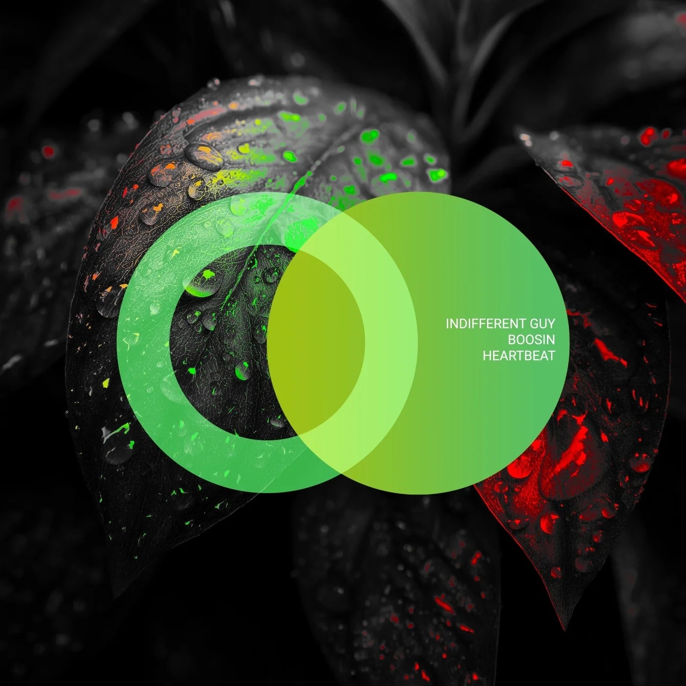 Indifferent Guy, Boosin - Heartbeat (Original Mix)