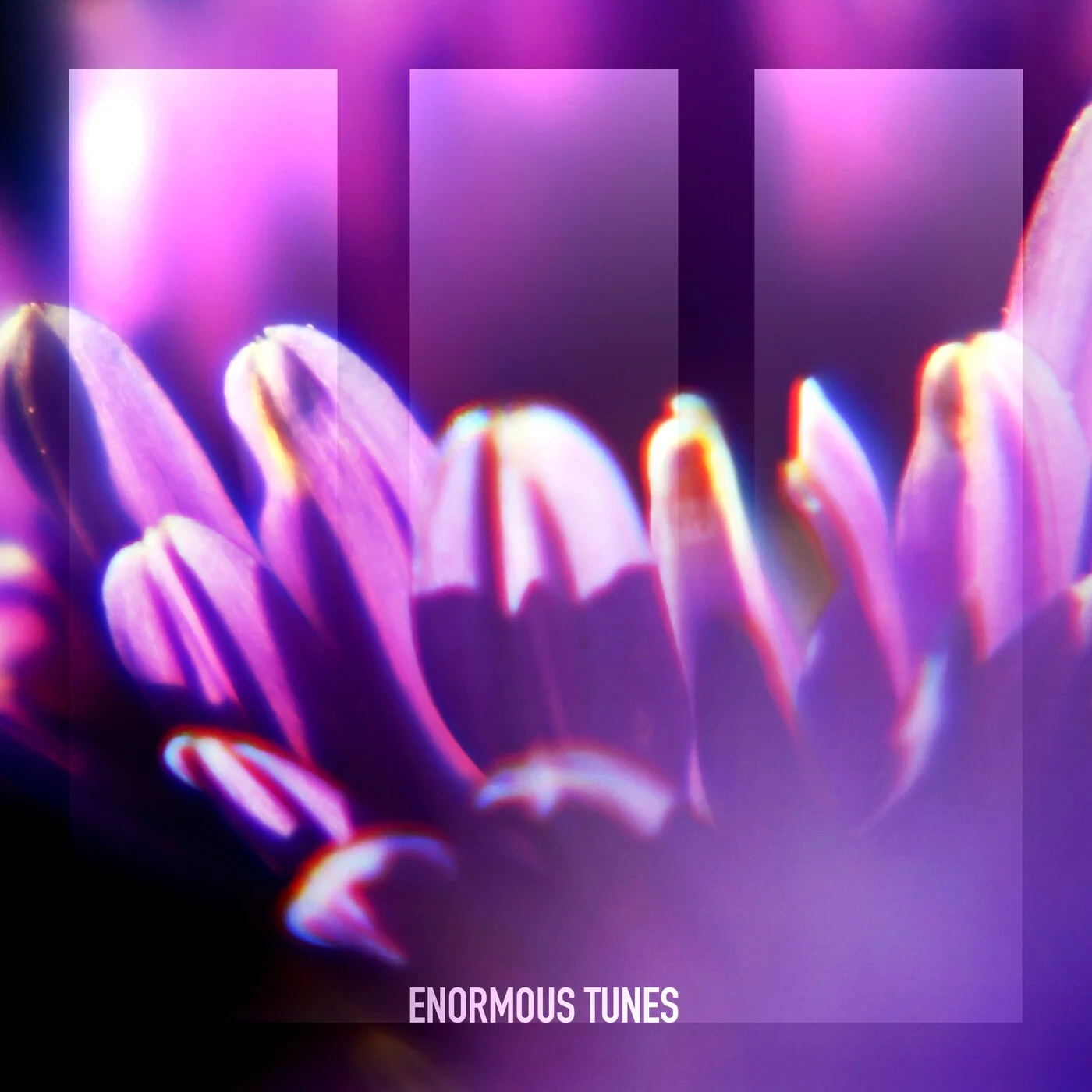 Passenger 10 - Carved in Mosaic (Extended Mix)