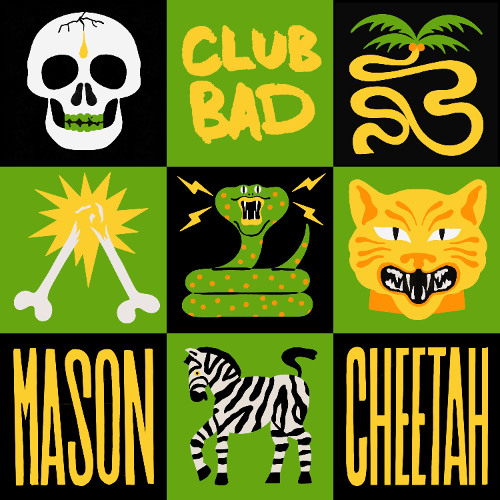 Mason, Teya Flow - Cheetah (Original Mix)