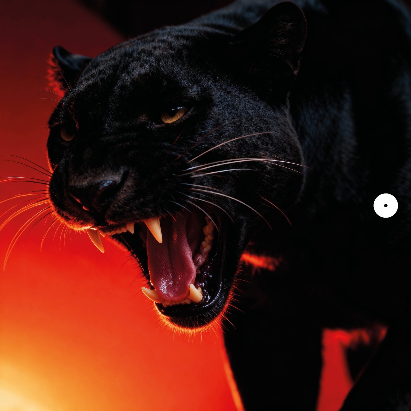 DONT BLINK - NATURAL SELECTION (Original Mix)