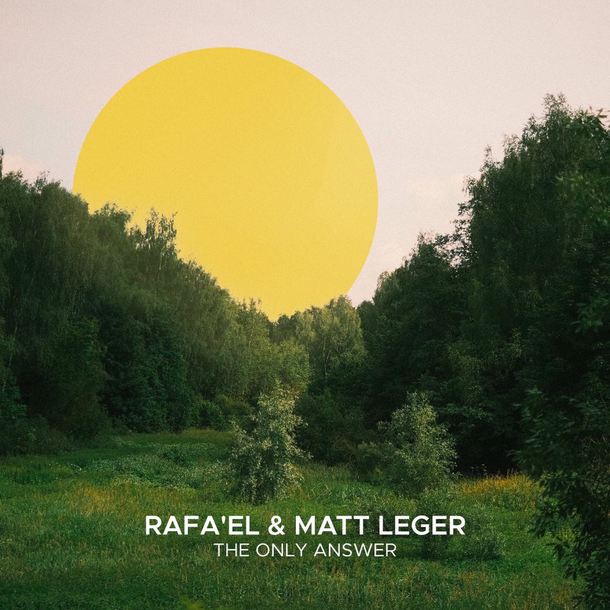 Rafa'EL, Matt Leger - The Only Answer (Extended Mix)