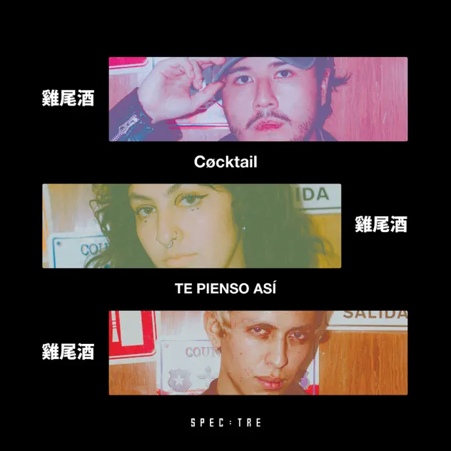 Coctail.us - Te Pienso Así (Original Mix)