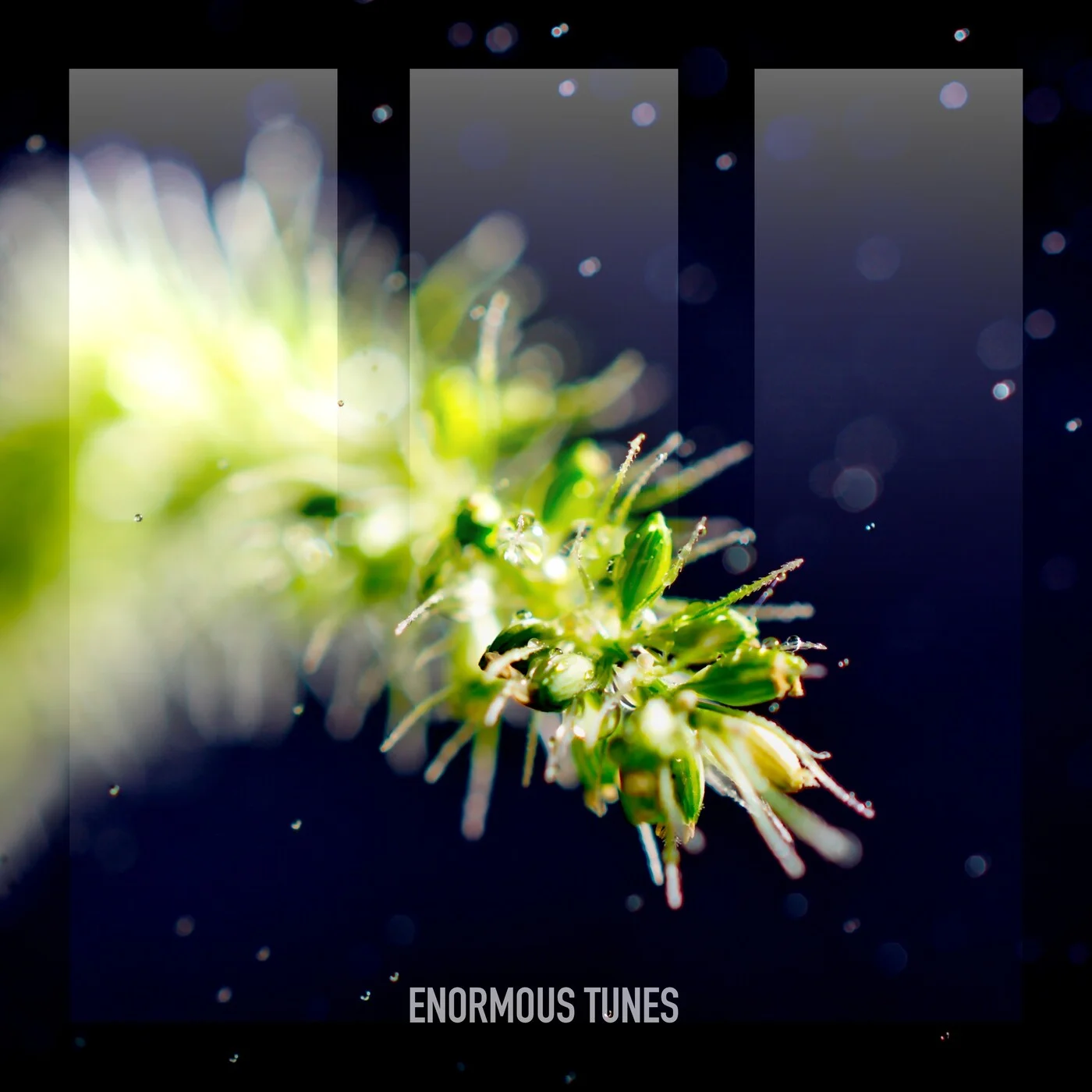 Daniel Portman - Blue Collar (Extended Mix)