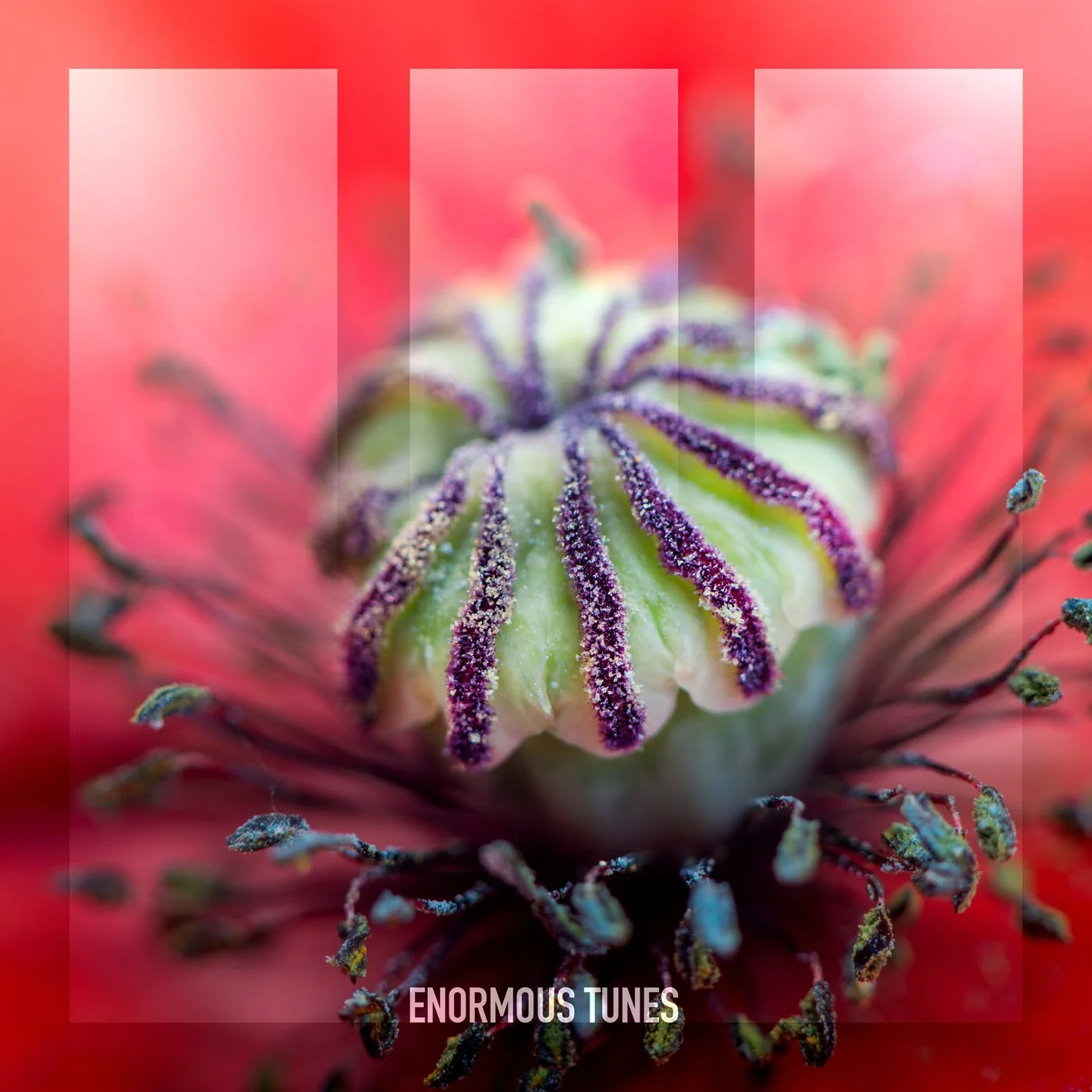 Path Of Youth - Weightless (Extended Mix)