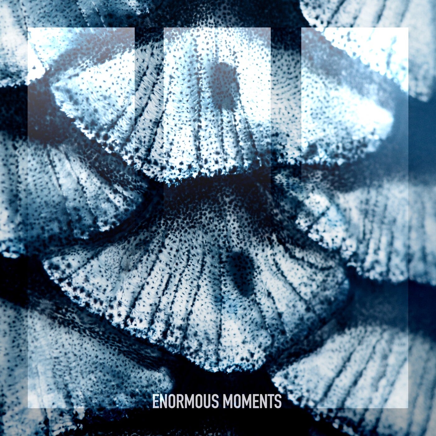 Bar Shaked - No Name (Extended Mix)