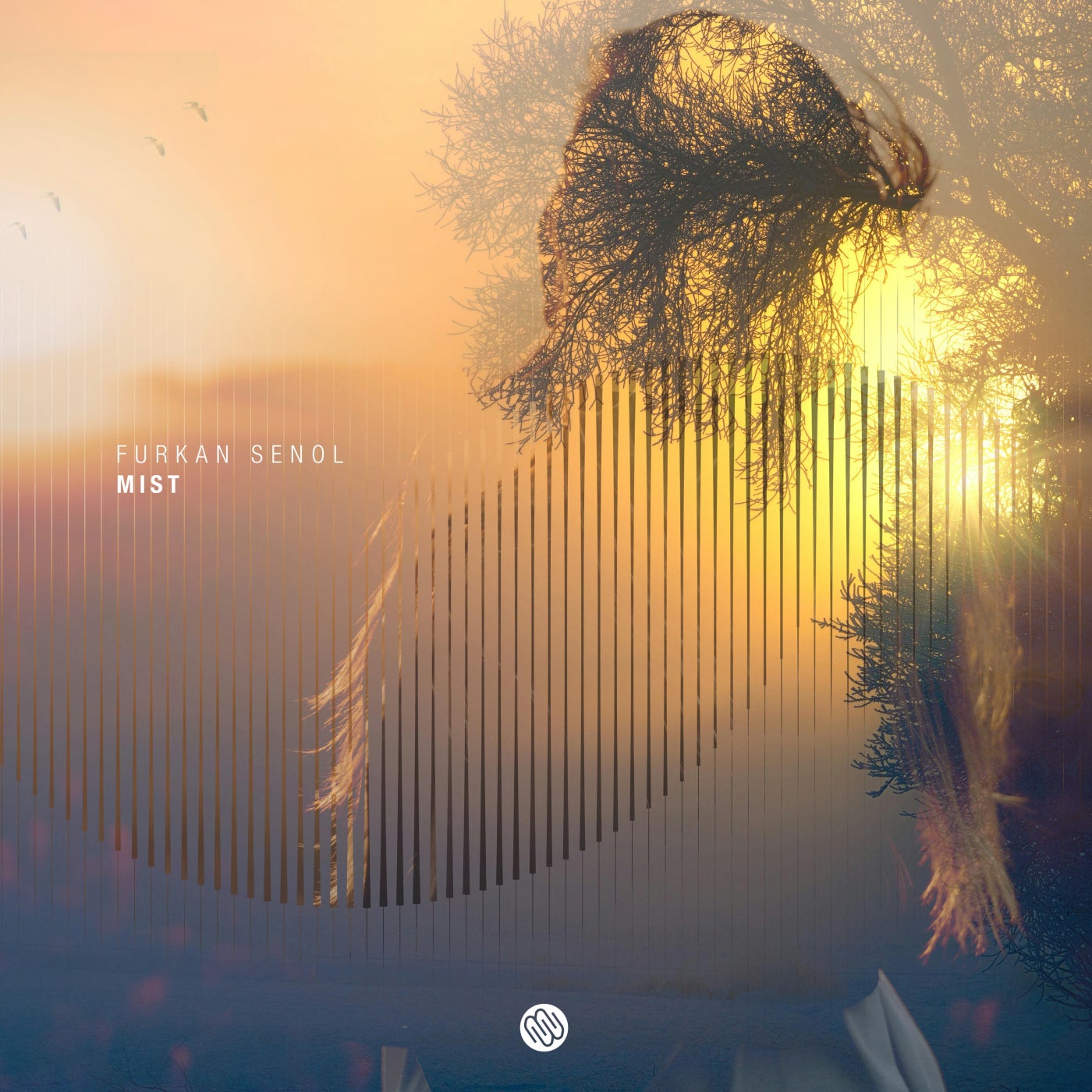 Furkan Senol - Mist (Sam Hughes Remix)