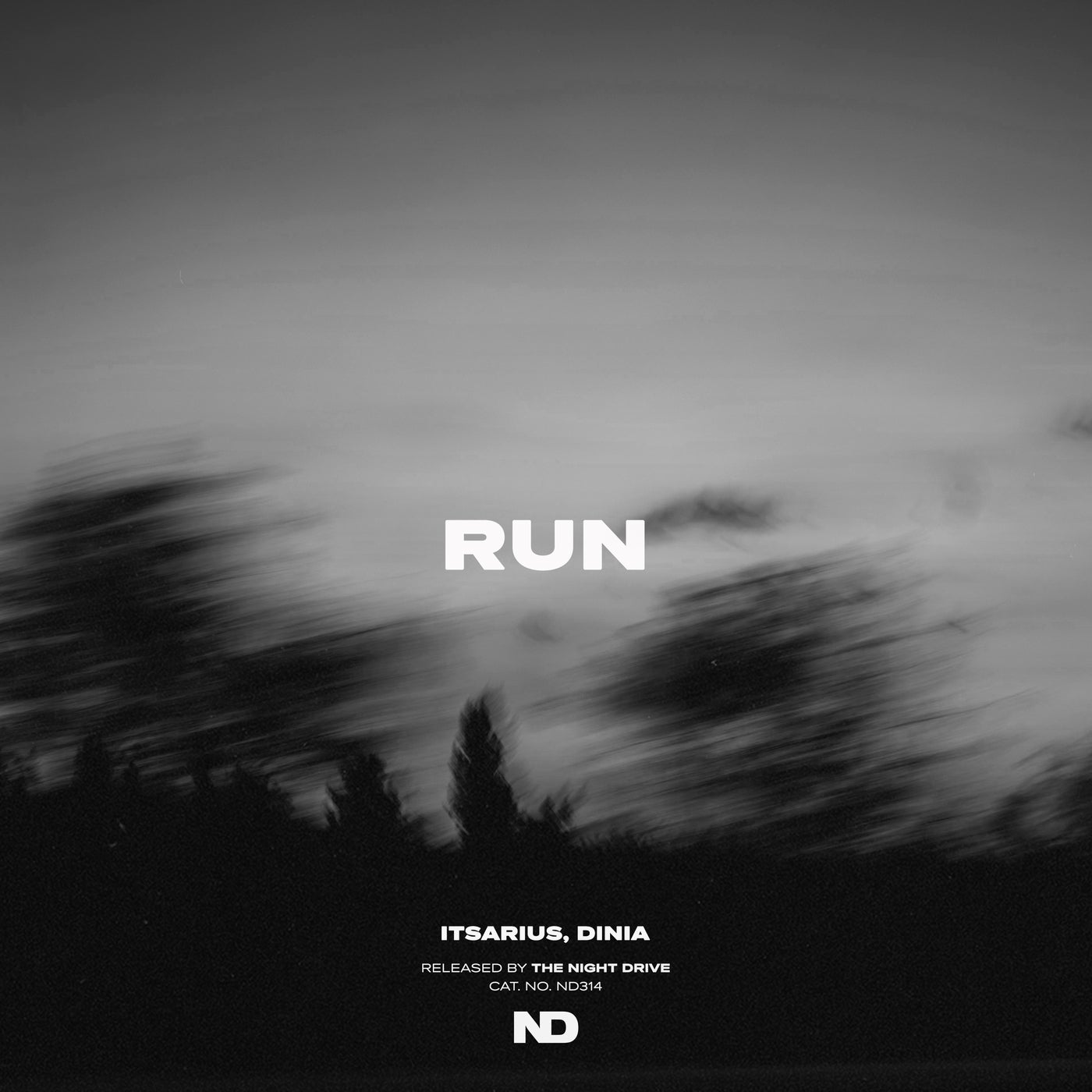Dinia, ItsArius - Run (Extended Mix)