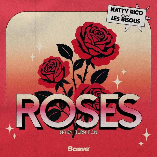 Natty Rico, Les Bisous - Roses (Extended Mix)