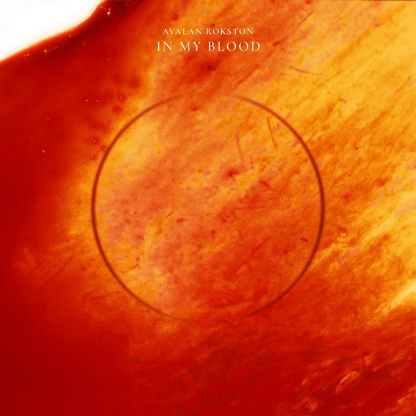 AVALAN ROKSTON - In My Blood (Extended Mix)