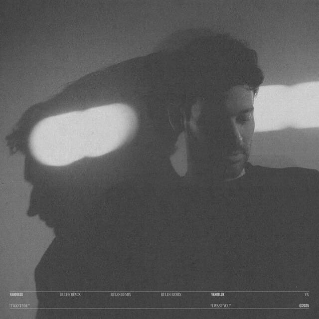 Vandelux - I Want You (Rules Remix)