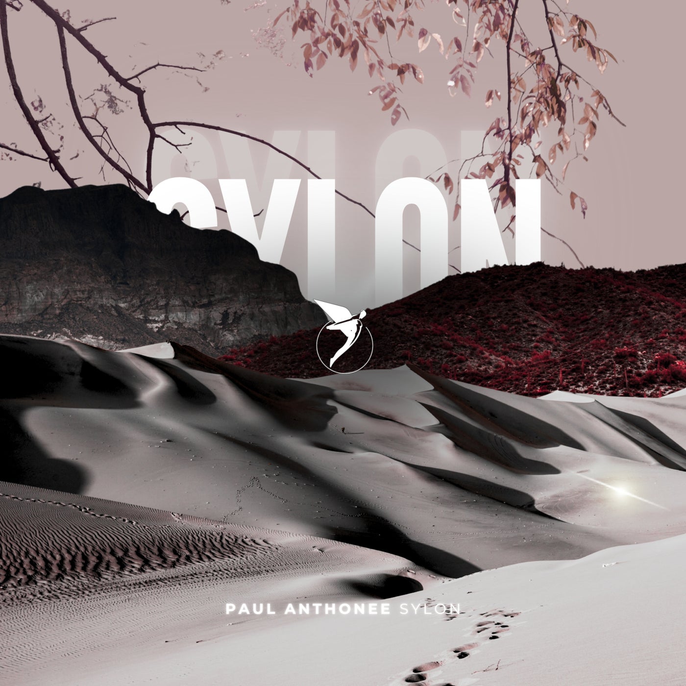 Paul Anthonee - Sylon (Extended Mix)