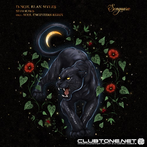 D-Nox & Elan Myles - Shadows (Soul Engineers Extended Remix)