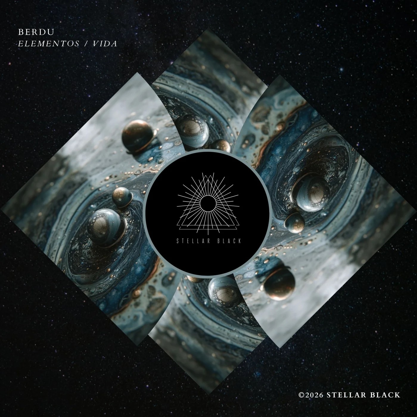 BERDU - Vida (Original Mix)