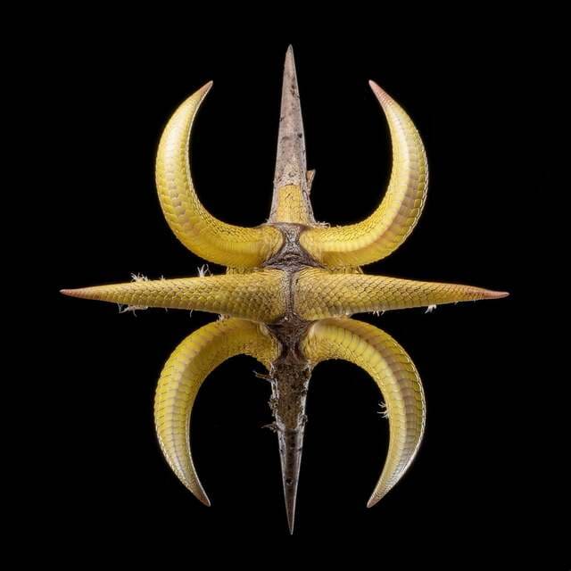 Rafael Cerato, Widerberg - Hero (Guzy Extended Remix)