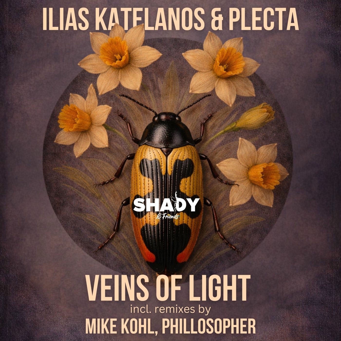 Ilias Katelanos, Plecta, Phillosopher - Veins of Light (Phillosopher Remix)