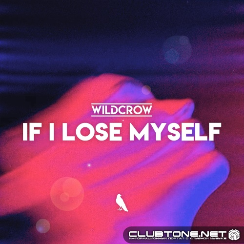 Wildcrow - If I Lose Myself (Extended Mix)
