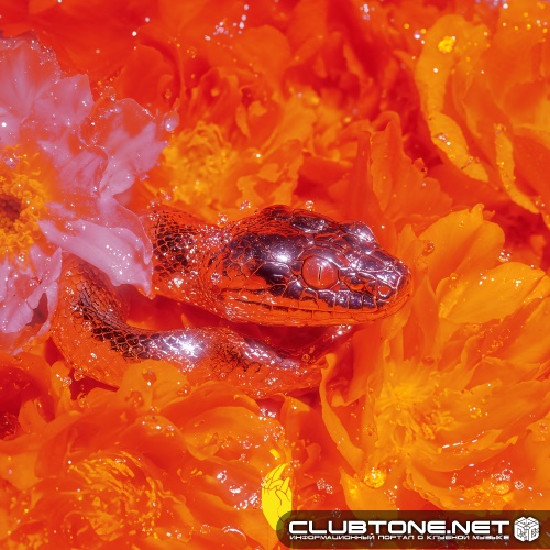 Losless - OOMM (Original Mix)