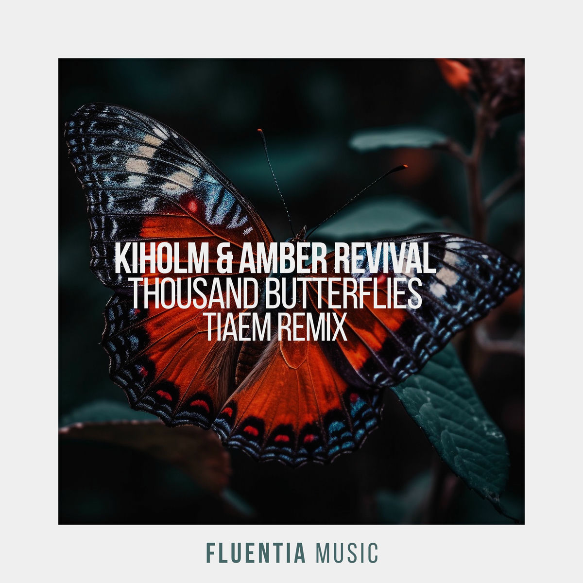 Kiholm - Thousand Butterflies (TIAEM Extended Remix)