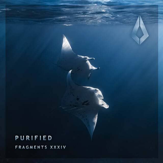 Alex Rusin - Echoes (Extended Mix)