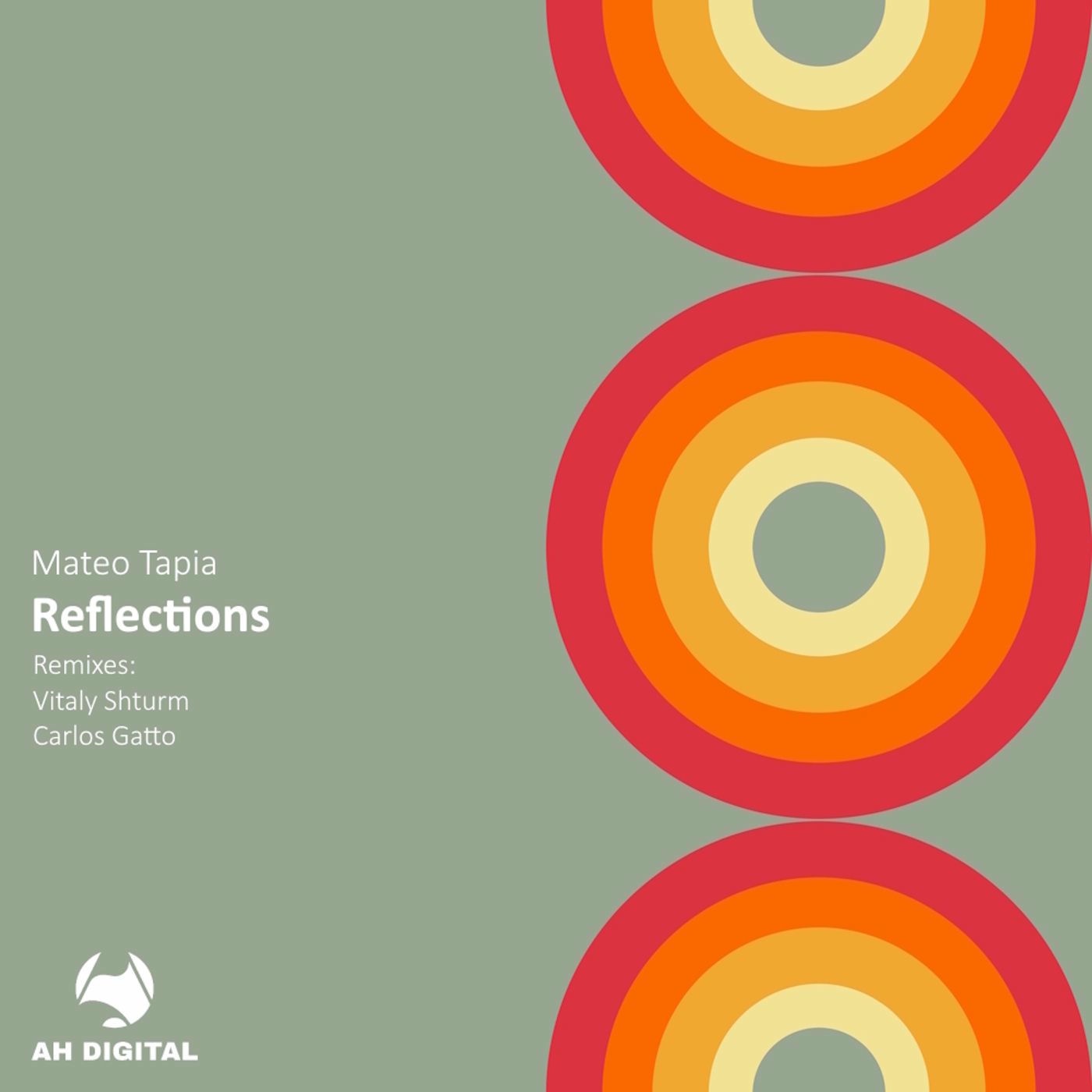 Mateo Tapia, Vitaly Shturm - Reflections (Vitaly Shturm Remix)
