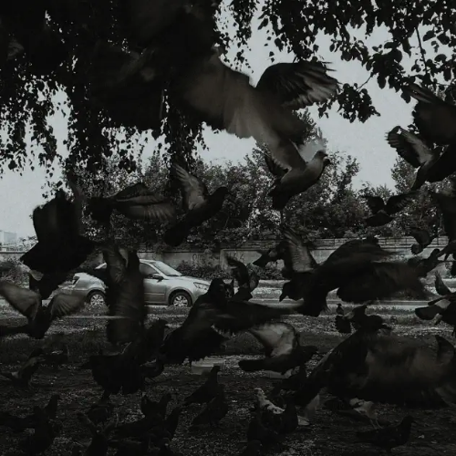 Tenebrax - Reborn (Original Mix)