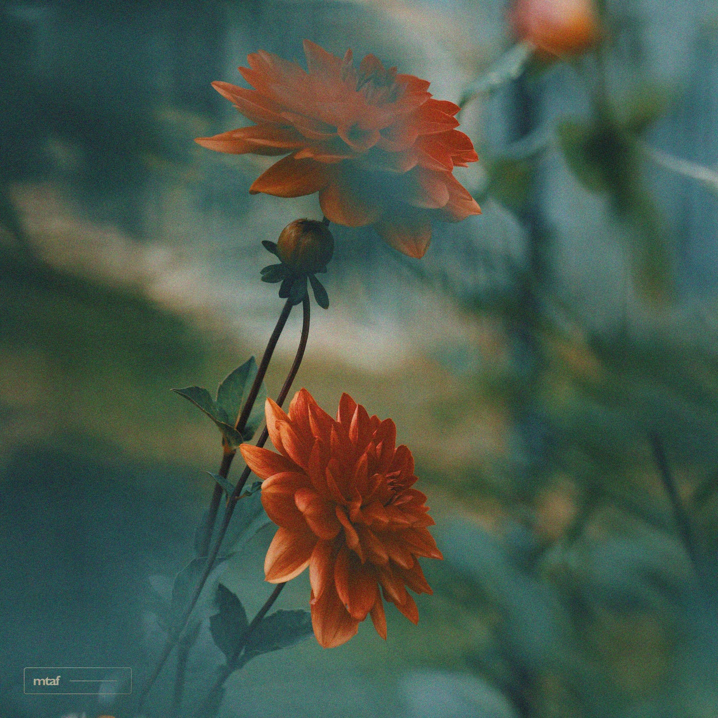 Secret Wrld - Your Love (Original Mix)