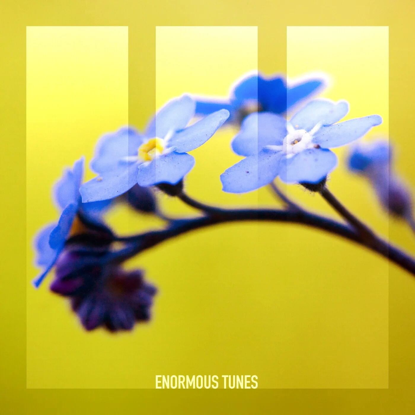 Passenger 10 - Caucasus (Extended Mix)