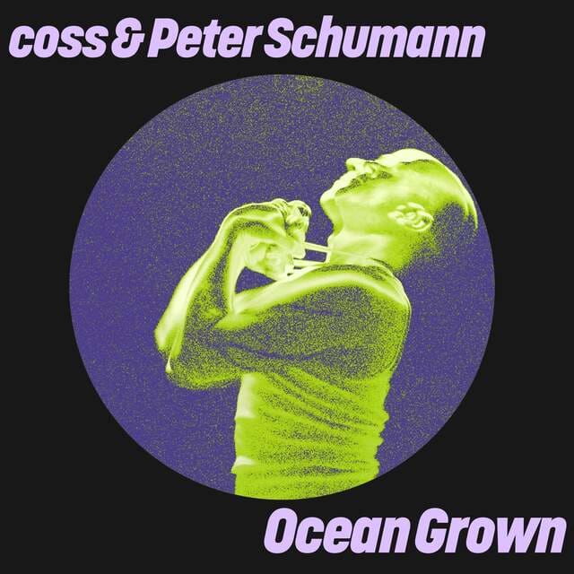 Coss, Peter Schumann - Goldies (Extended Mix)