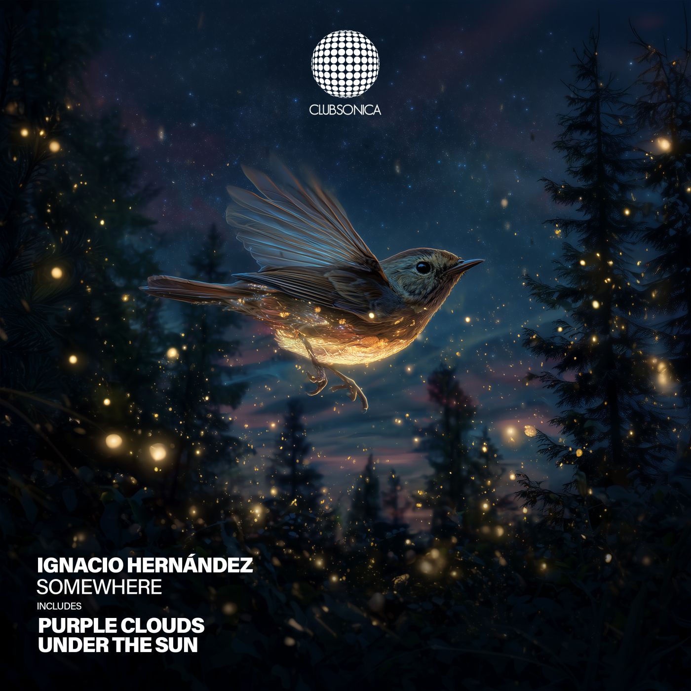 Ignacio Hernández - Somewhere (Extended Mix)