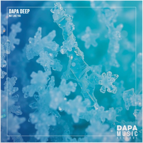 Dapa Deep - Not Like You (Original Mix)