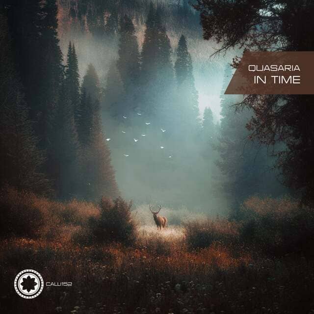 Quasaria - In time (Vaim Remix)